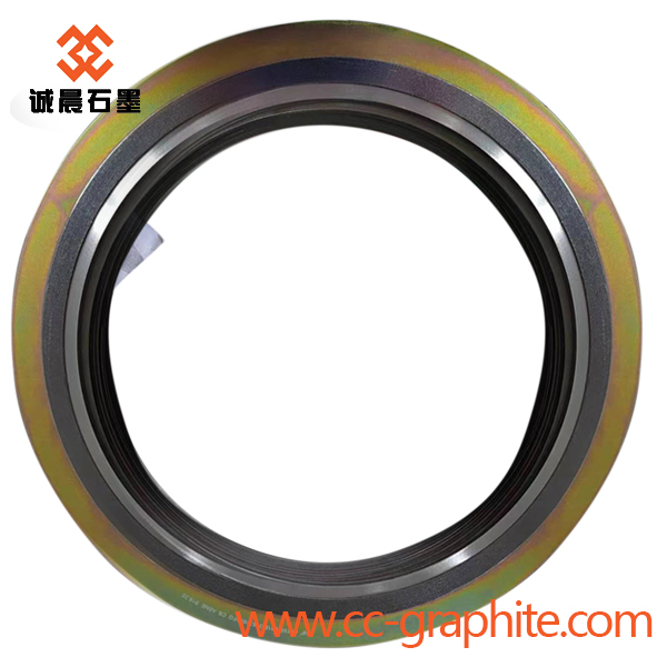 flexible graphite gasket